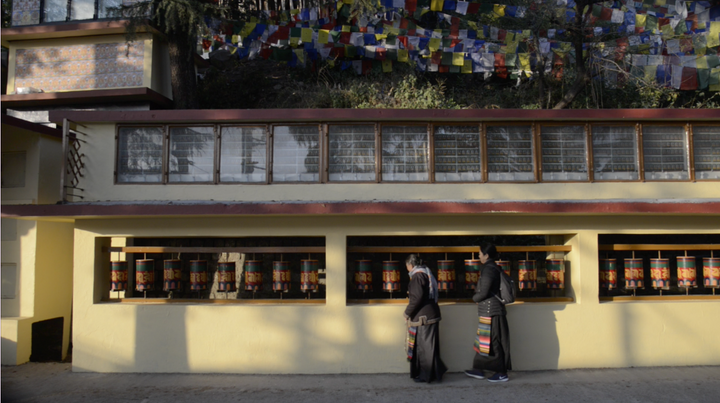 Handwoven Tibetan Tiger Rugs by Tibetan Refugee Artisans – Tim Roodenrys